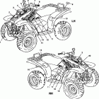 TRAIL BOSS - A99AA25CA Наклейки
