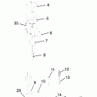XPRESS 400 - W969540 Gear selector (400) xpress 400 w969540