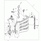 F75TLR Впускная система 1