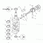 T60TLR Crankshaft Piston