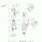 M35C Поршни и коленчатый вал