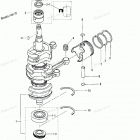 NSD50B Поршни и коленчатый вал