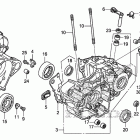 CRF450X Картер