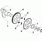 DS 250 NA, CE & INT 01- balance shaft