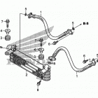 TRX250X Масляный картер