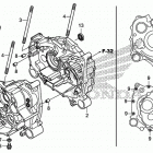 TRX500FM2 Картер