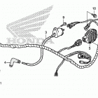 TRX250TM Wire harness (trx250tm)