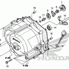 TRX250TM Front crankcase cover    (trx250tm)