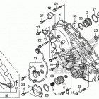 CTX700D Right crankcase cover (2)