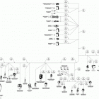 Commander STD, XT, 800R EFI Жгут проводов