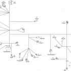 TUNDRA XTREME 600HOE XP Жгут проводов