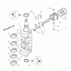T50LB Crankshaft Piston