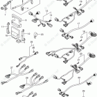 DF 250APX OPT:HARNESS