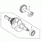 EW171K1 Коленвал