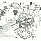 TRX420FA1 Головка цилиндра