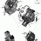 Renegade 1000 EFI Картер