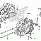 CRF110F Картер