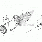 CB300F Масляный насос
