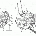 CRF230F Картер