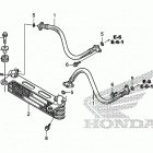 TRX250TM Масляный картер