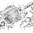 TRX250TE Front crankcase cover    (2)
