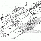 TRX250TM Front crankcase cover    (1)