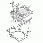 TRX500FM6 Цилиндры