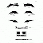 Brute Force 300 (KVF300-CFF) Decals(white)(cff)