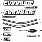 75 E75DPLINC Decals - blue