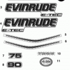 75 E75DSLINM Наклейки - белый