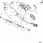 496 MAG EC (Base Model) 1A066166 THRU 1A350440 Cooling system, raw water, starboard (sn 1a349420 ...