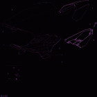 Xtrim SC 600 E-TEC Сидение