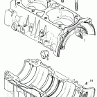 Forest Fox Картер