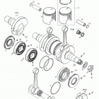 Forest 01- Crankshaft Assy
