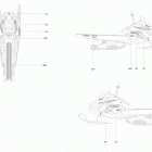 TUNDRA - 2-STROKE - XTREME 09- decals - all models