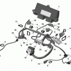 EXPEDITION - 4-STROKE - LE-XTREME 10 - жгут проводов двигателя и электронного модуля...