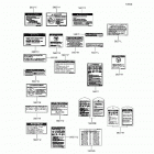 Brute Force 300 (KVF300-CHF) Labels(cn)
