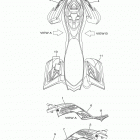RAPTOR 700R SE YFM70RSSHB Наклейки
