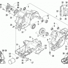WILDCAT X BLUE Картер