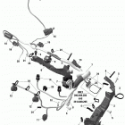 001 - FREERIDE 137 850 E-TEC Жгут проводов