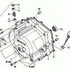 TRX250EX Front crankcase cover ('06-)