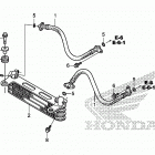 TRX250TE1 Масляный картер