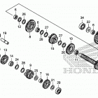 TRX250X Трансмиссия
