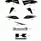 BRUTE FORCE 300 Decals(white)(cjf)