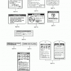 BRUTE FORCE 300 Labels(us)