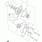KODIAK 450 EPS 4WD HUNTER  (YFM45KPHJF) Водяной насос