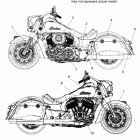N19THDAA - SPRINGFIELD DARK HORSE ALL OPTIONS Body, emblems and decals - n19thdaa  all options (...