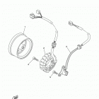 TW200 (TW200H1/TW200H1C) Генератор