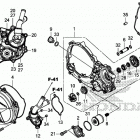 CRF250RX AC Крышка картера правая