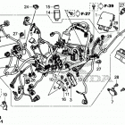 NC750XD Жгут проводов